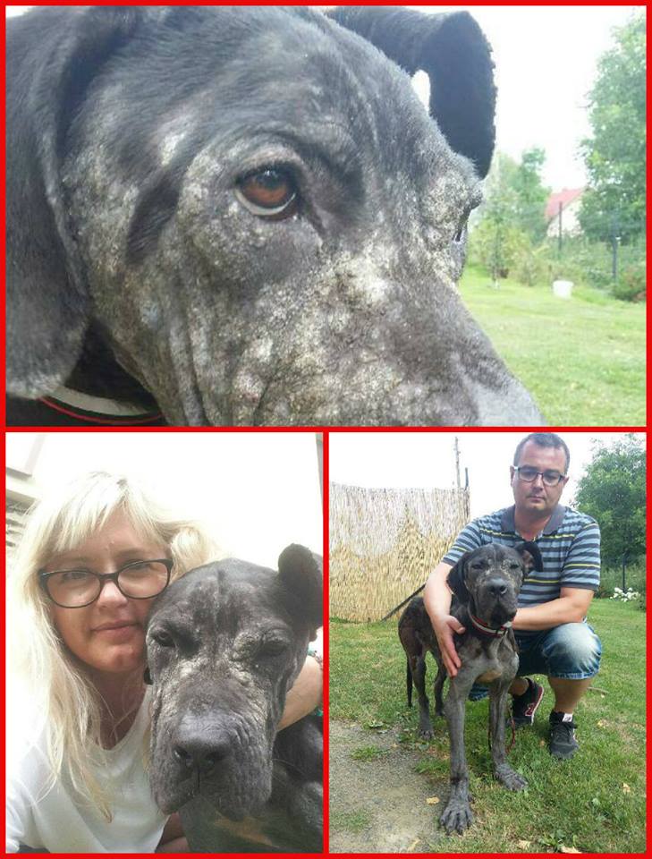 Maximus,  Przyjechali, pokochali <3 Aż spiewać się chce <3 :) .czy zabrali ? ..opowiemy po weekendzie 